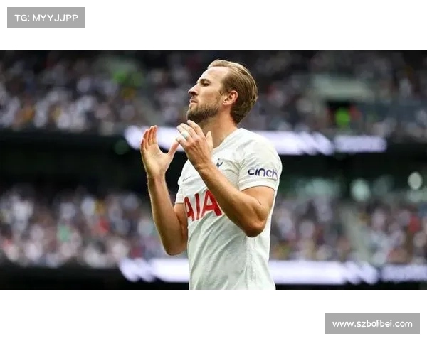 如何综合评估哈里凯恩在球场上的表现与影响力